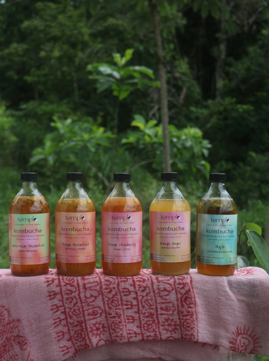 Kombucha cruda - botella de 16 oz